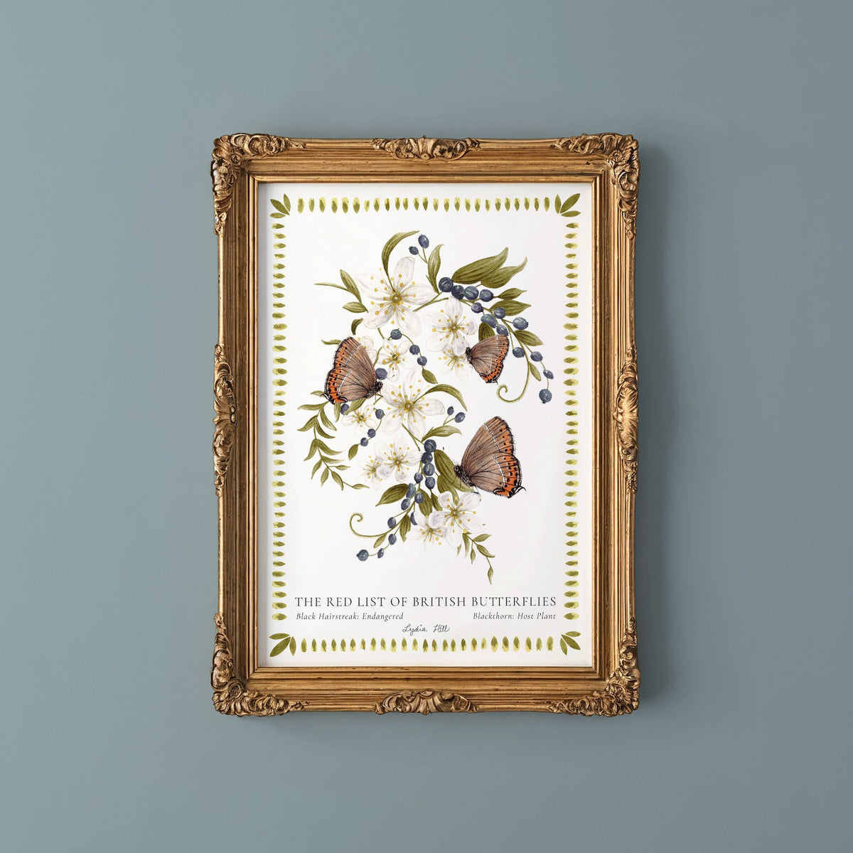 Black Hairstreak British Butterfly, Heritage Fine Art Archival Print - Lydia Hill Designs