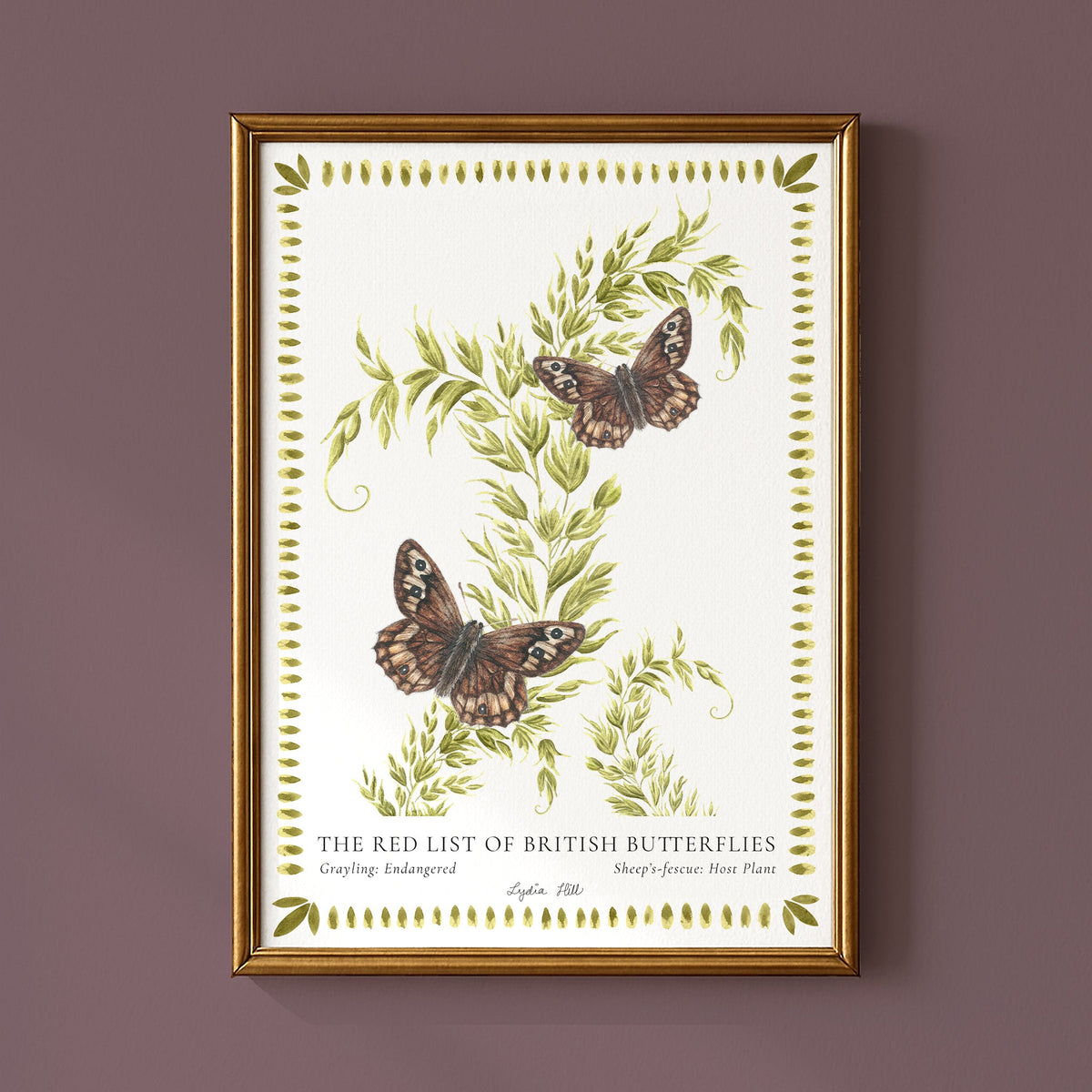 Grayling British Butterfly, Heritage Fine Art Archival Print - Lydia Hill Designs