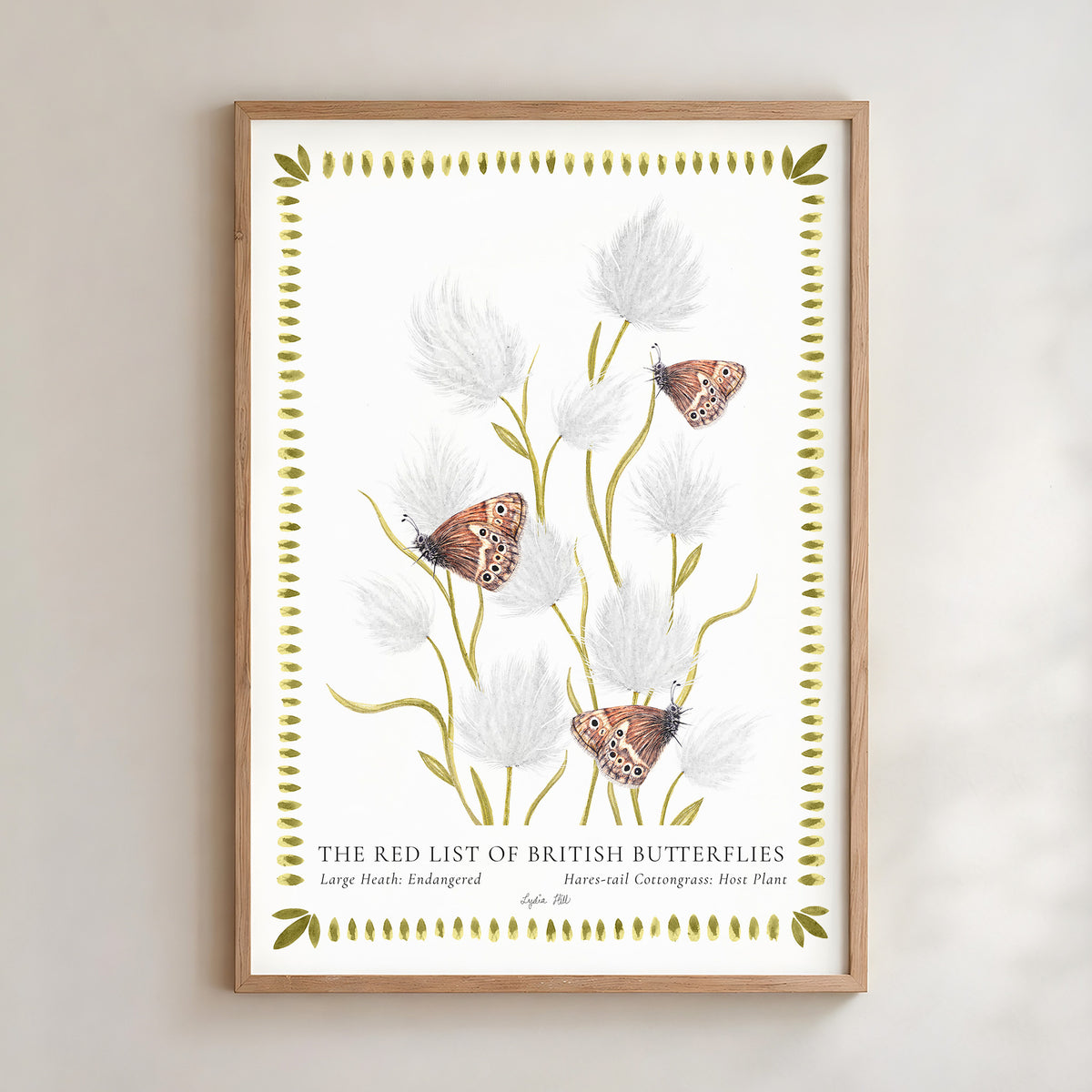 Large Heath British Butterfly & Cottongrass Fine Art Print