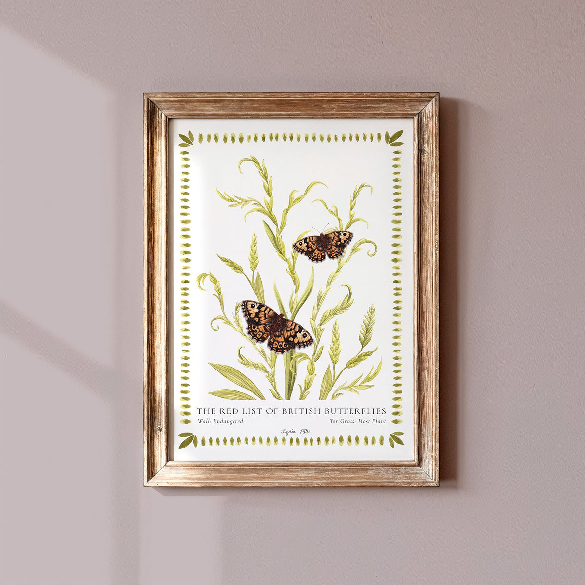 Wall British Butterfly, Heritage Fine Art Archival Print - Lydia Hill Designs