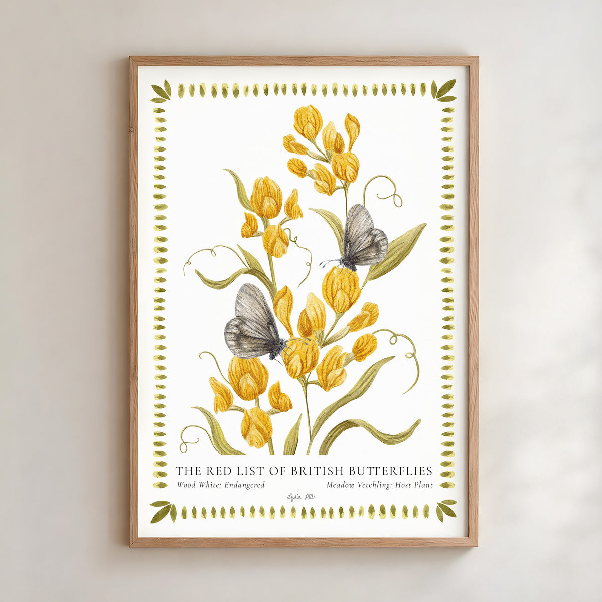 Wood White Butterfly & Meadow Vetchling Fine Art Print