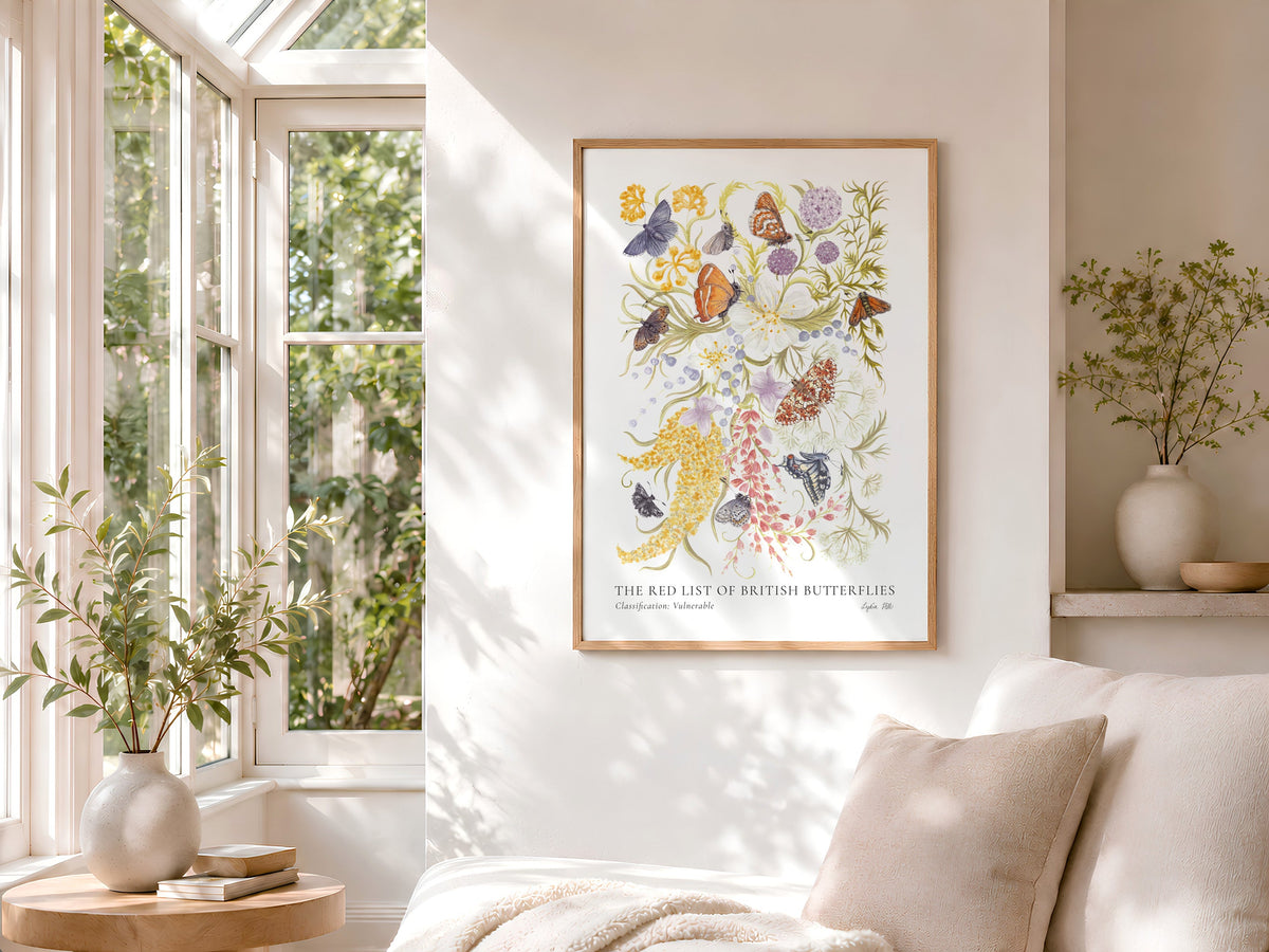 Fine Art Prints