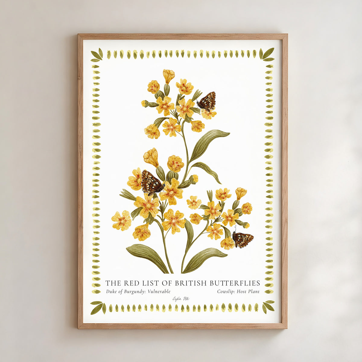 Duke of Burgundy Butterfly & Cowslip Fine Art Print