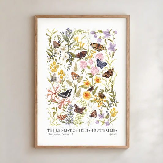 Endangered British Butterflies Fine Art Print