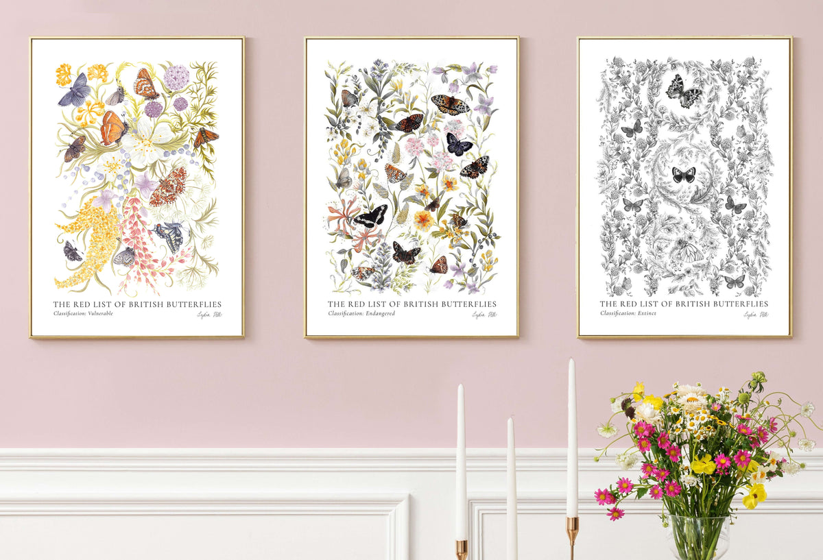 Extinct British Butterflies Heritage Fine Art Print - Lydia Hill Designs