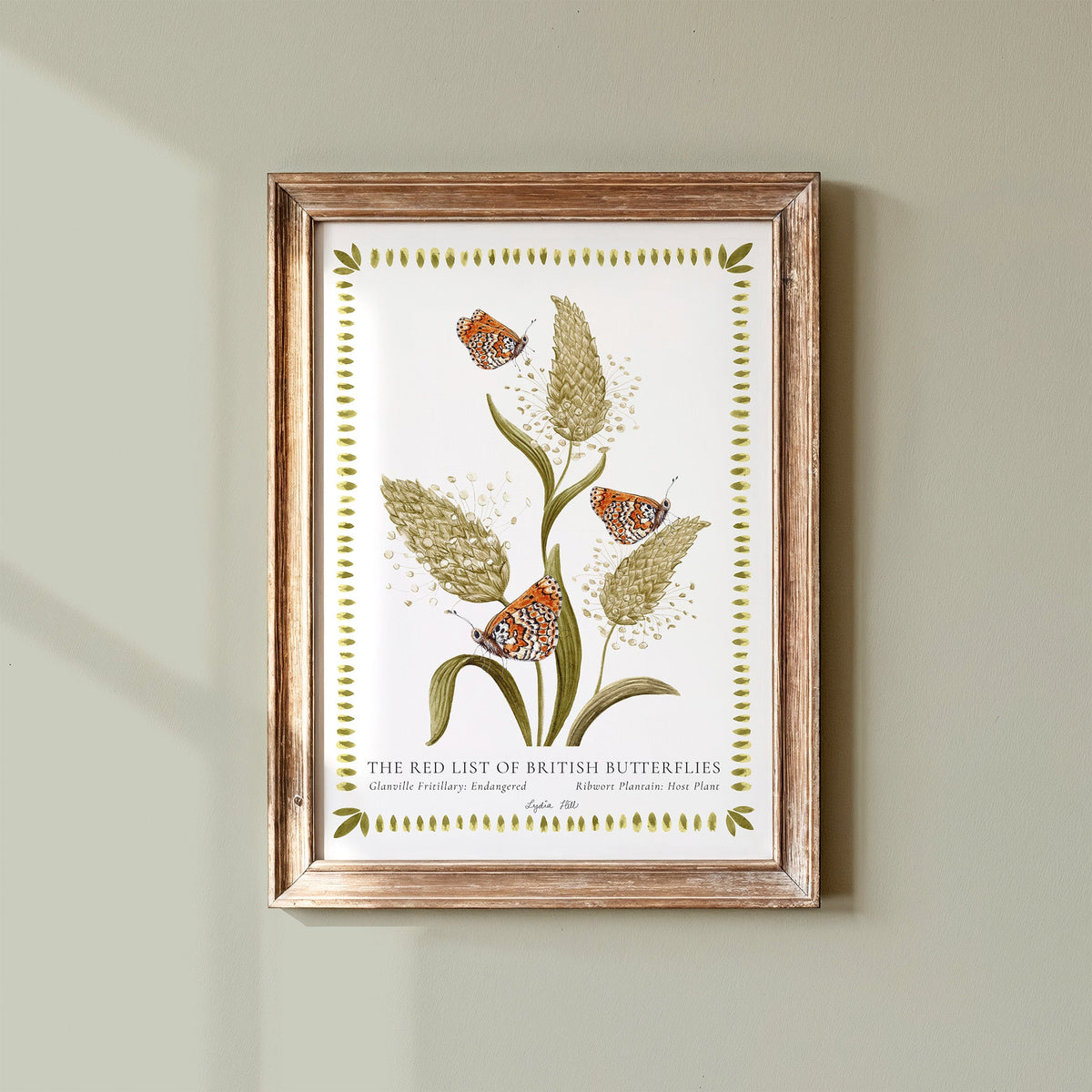 Glanville Fritillary British Butterfly, Heritage Fine Art Archival Print - Lydia Hill Designs