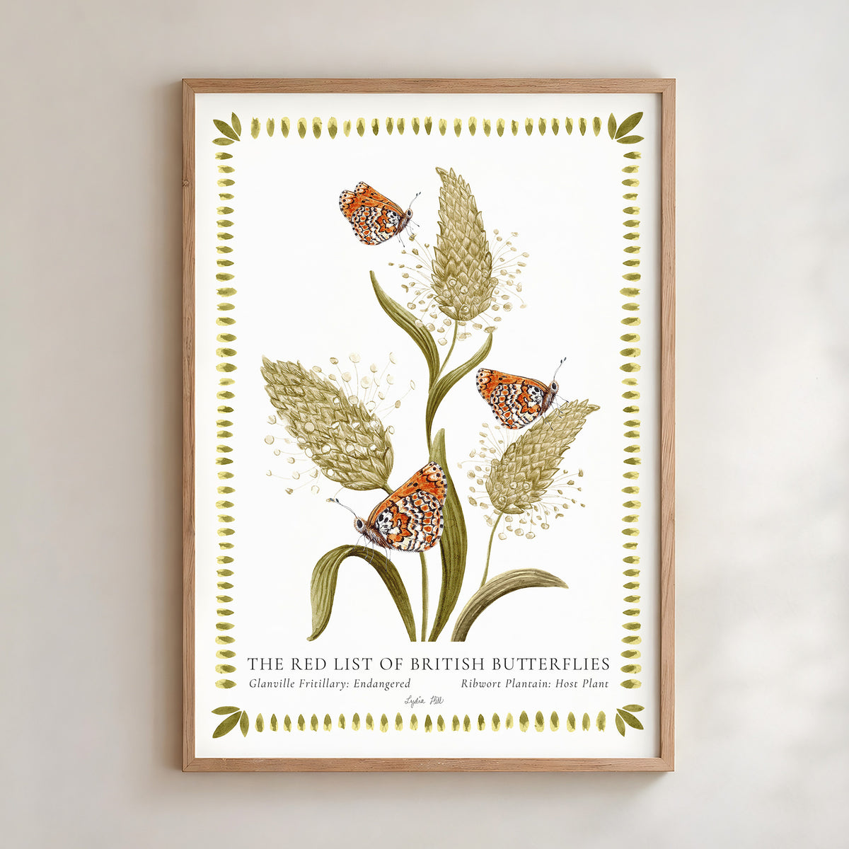 Glanville Fritillary Butterfly & Ribwort Plantain Fine Art Print