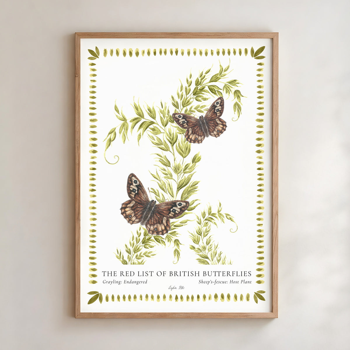 Grayling Butterfly & Sheep's Fescue Fine Art Print
