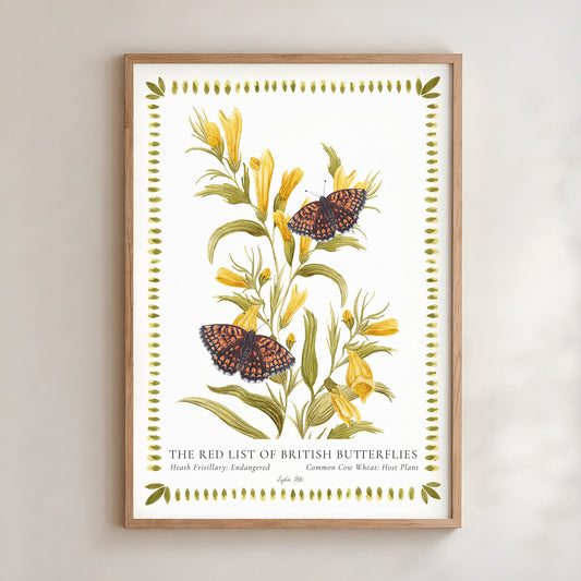 Heath Fritillary Butterfly & Cow Wheat Fine Art Print