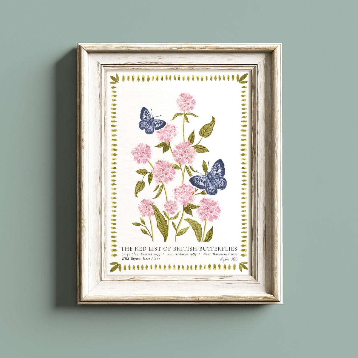 Large Blue British Butterfly, Heritage Fine Art Archival Print - Lydia Hill Designs
