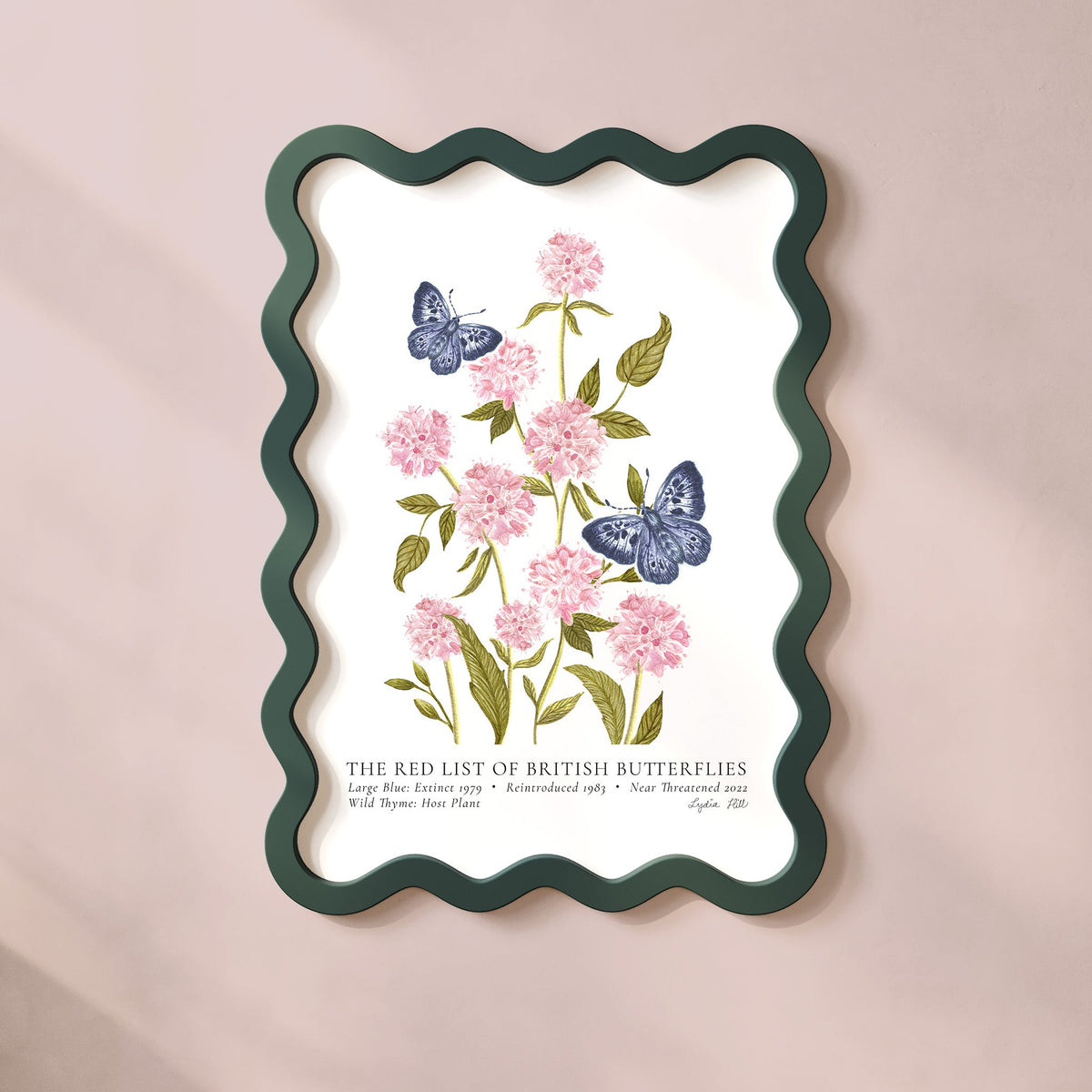 Large Blue British Butterfly, Heritage Fine Art Archival Print - Lydia Hill Designs