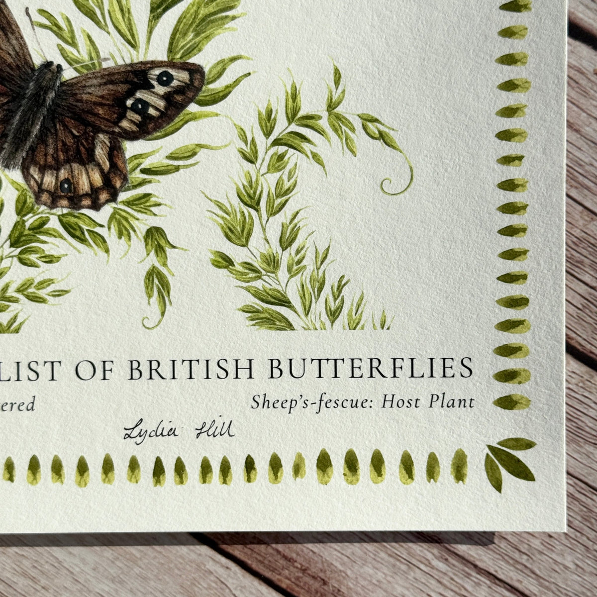 Large Heath British Butterfly, Heritage Fine Art Archival Print - Lydia Hill Designs
