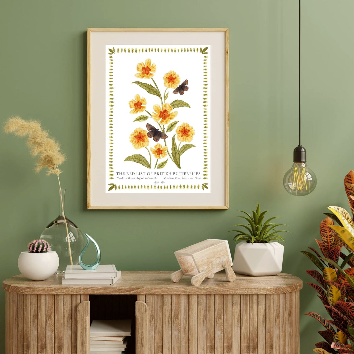 Northern Brown Argus British Butterfly, Heritage Fine Art Archival Print - Lydia Hill Designs