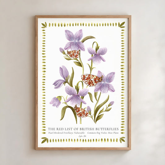 Pearl-Bordered Fritillary Butterfly & Dog Violet Fine Art Print