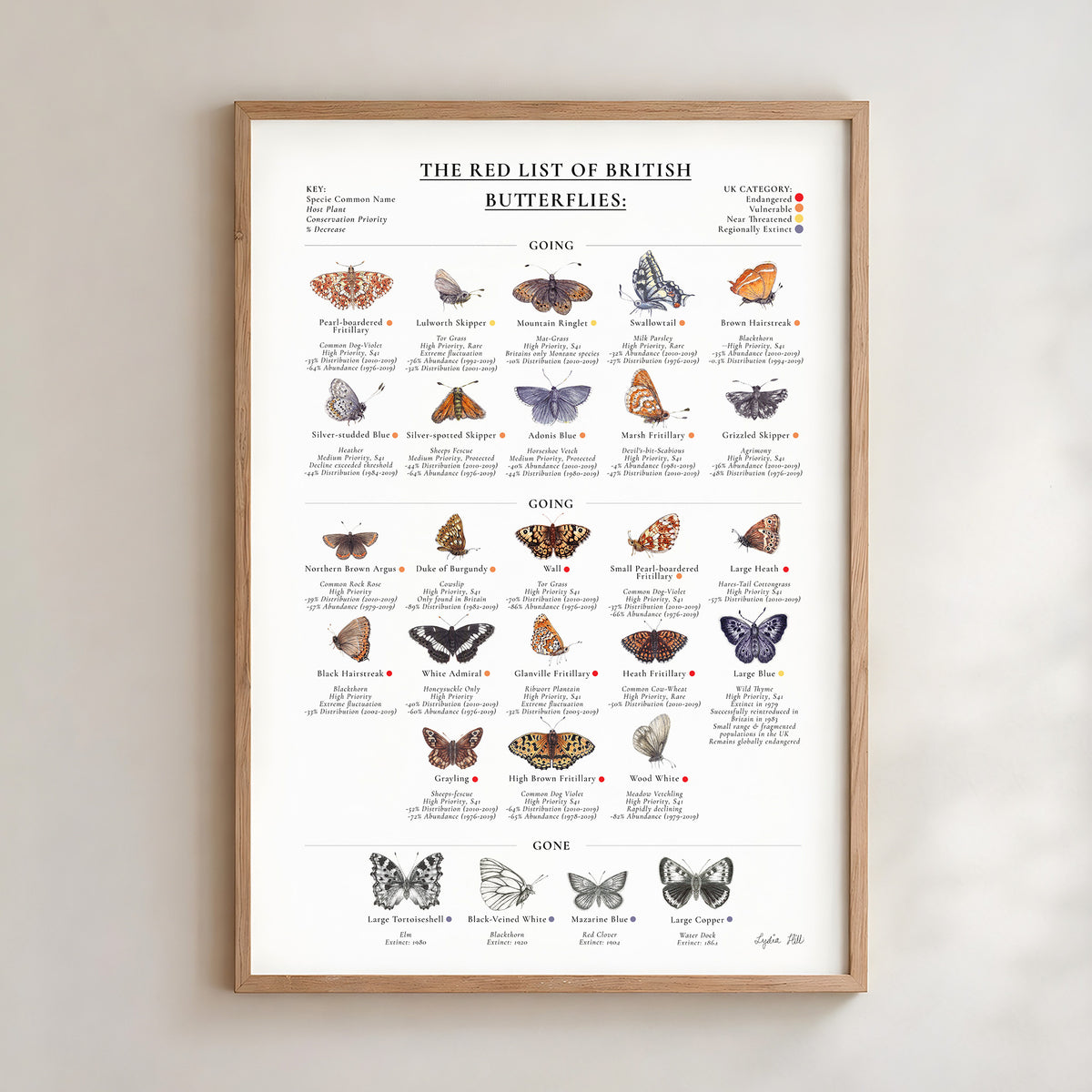 The Red List of British Butterflies Index Fine Art Print