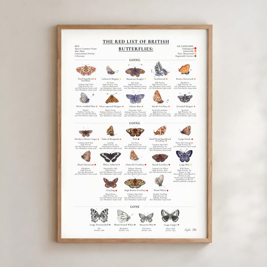 The Red List of British Butterflies Index Fine Art Print