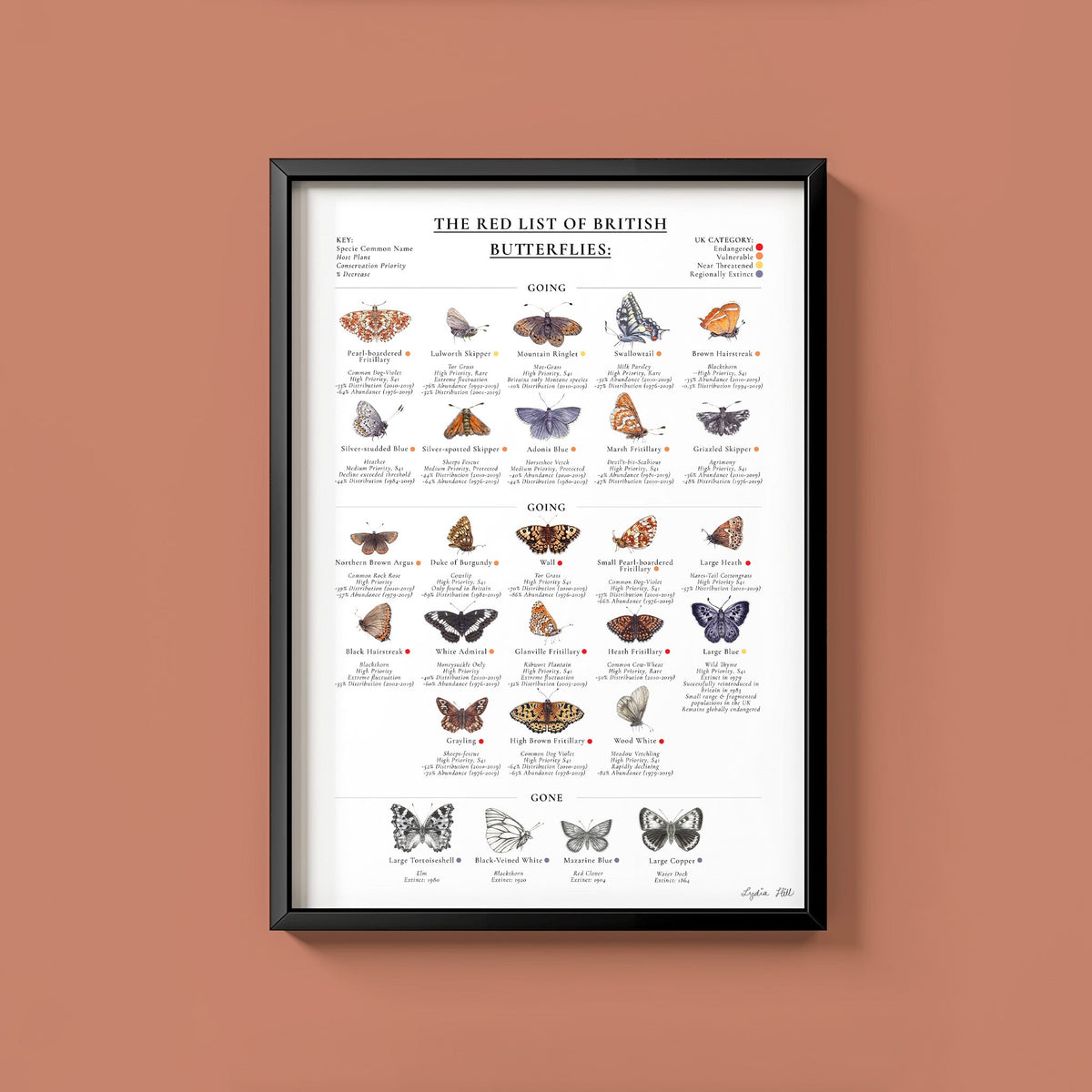 The Red List of British Butterflies Educational Heritage Fine Art Print - Lydia Hill Designs