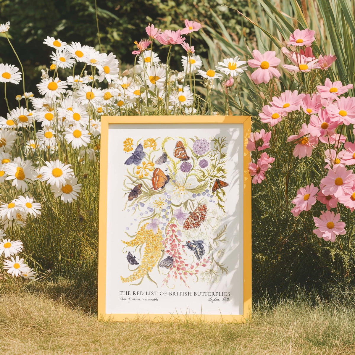 Vulnerable British Butterflies Heritage Fine Art Print - Lydia Hill Designs