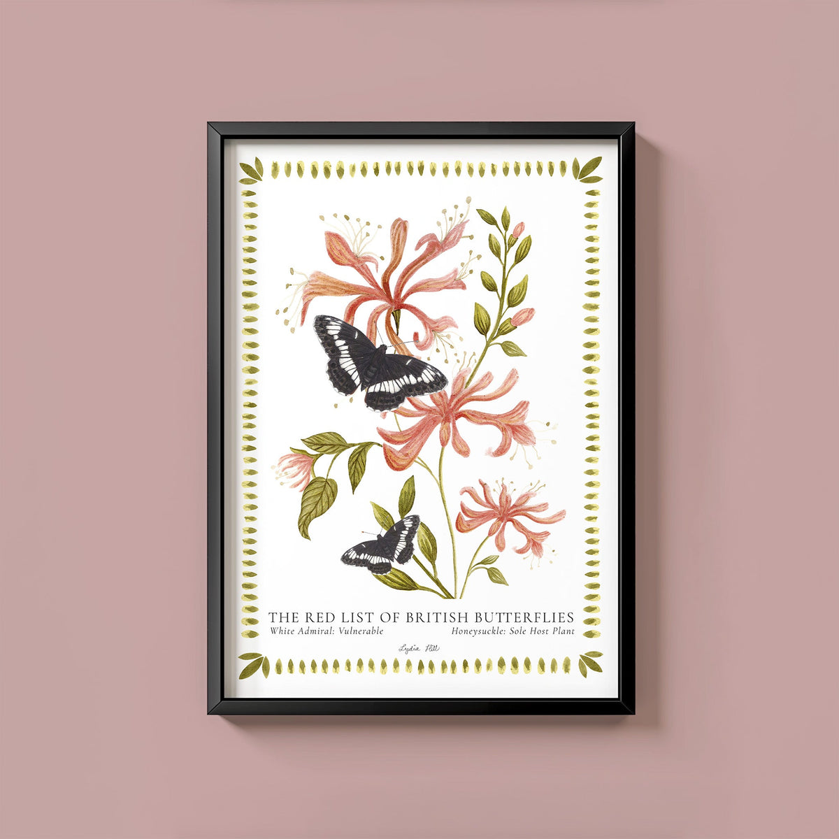 White Admiral British Butterfly, Heritage Fine Art Archival Print - Lydia Hill Designs