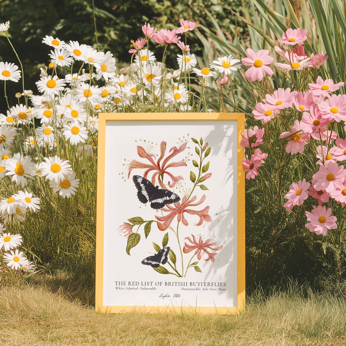 White Admiral British Butterfly, Heritage Fine Art Archival Print - Lydia Hill Designs