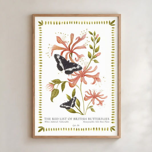 White Admiral Butterfly & Honeysuckle Fine Art Print