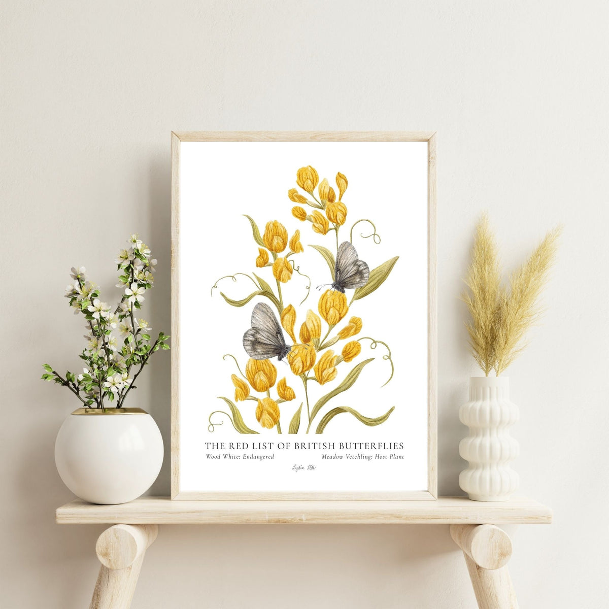 Wood White British Butterfly, Heritage Fine Art Archival Print - Lydia Hill Designs