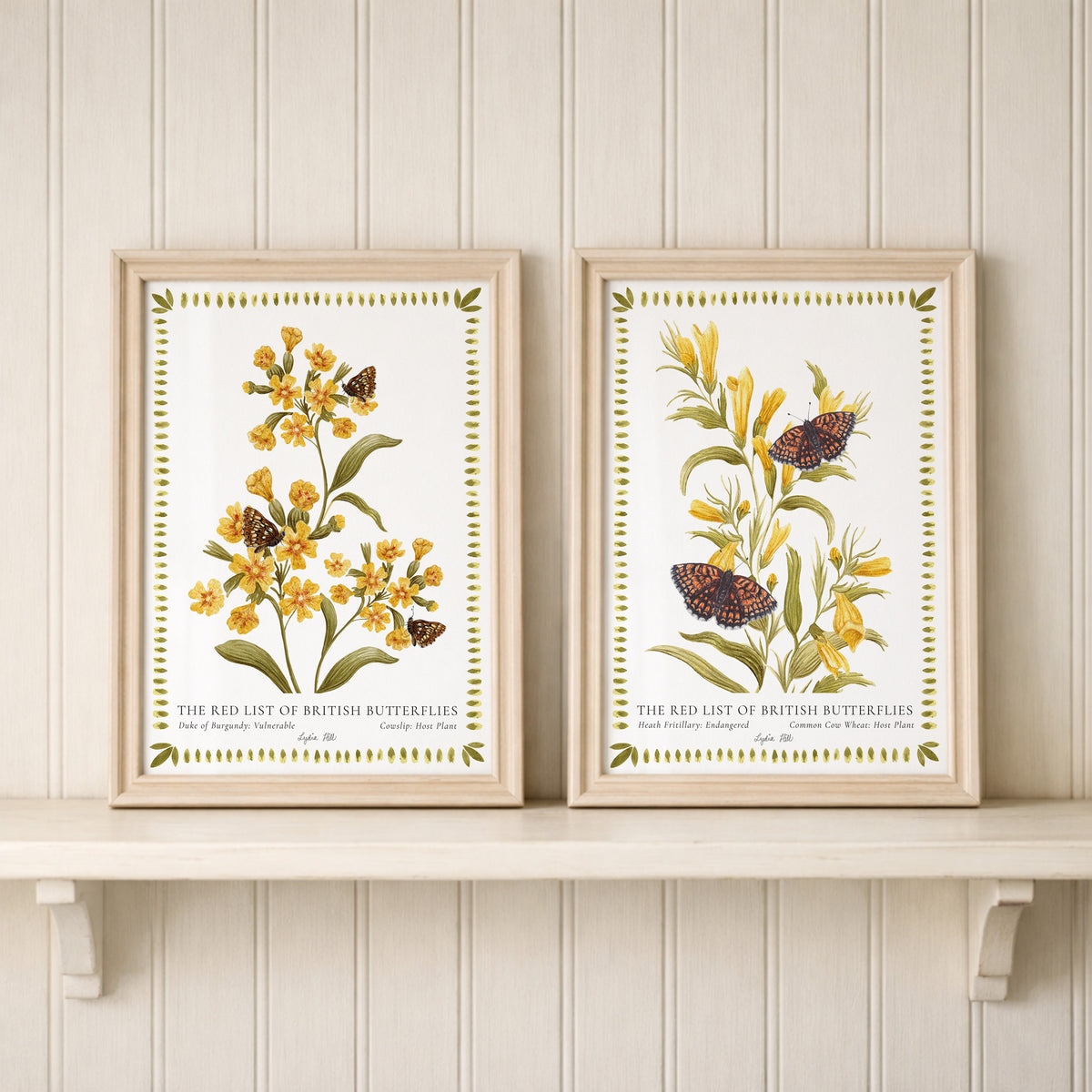 Duke of Burgundy Butterfly & Cowslip Fine Art Print